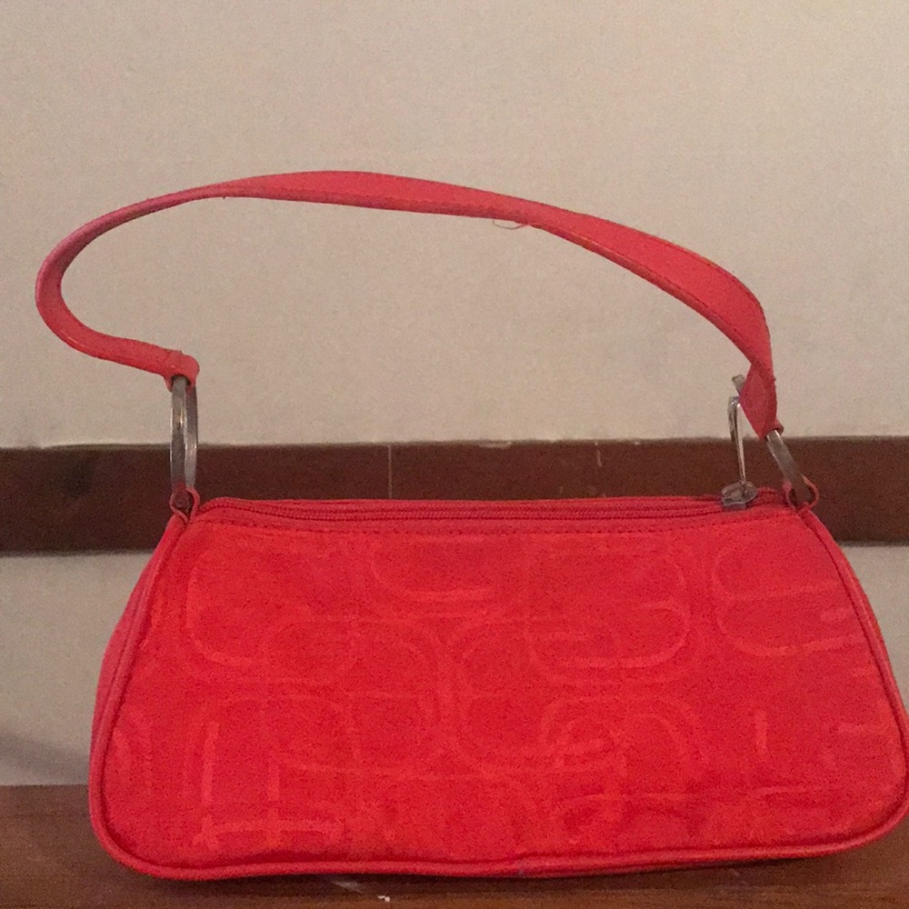 Small express purse